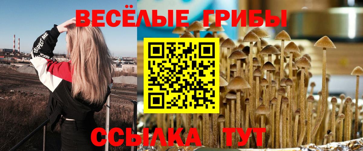 Галлюциногенные грибы ЛСД  Вход с VPN  Протвино  Псилоцибиновые грибы GOLDEN TEACHER 