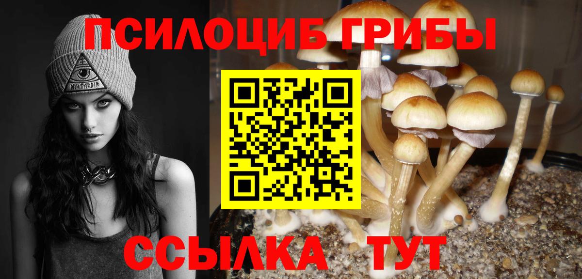 Галлюциногенные грибы GOLDEN TEACHER Протвино